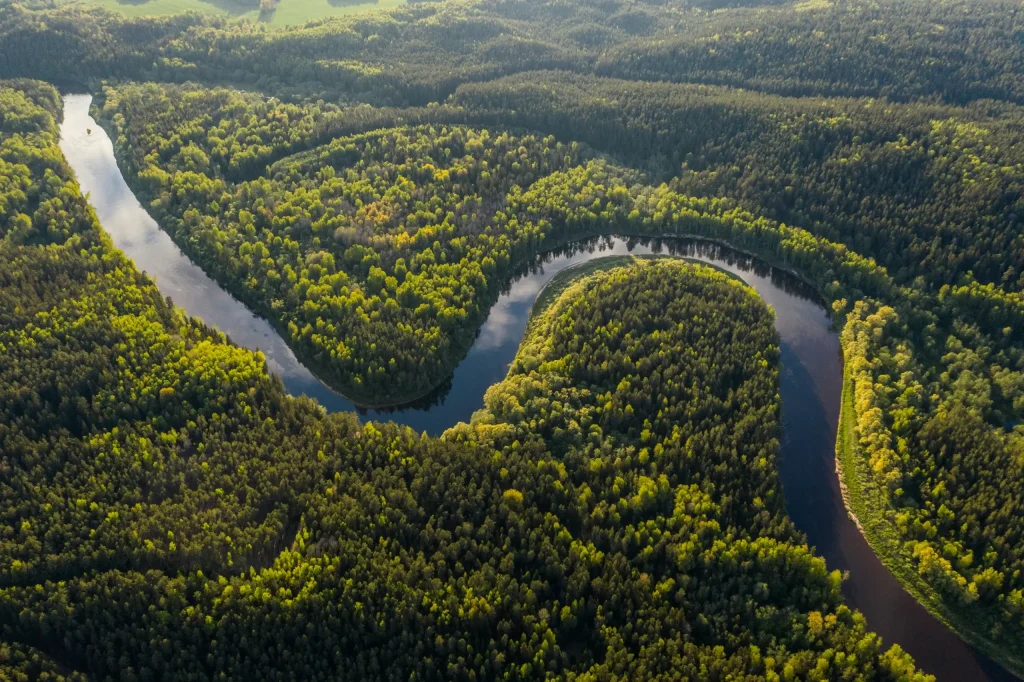 discover essential amazon exploration tips for a safe and unforgettable jungle adventure. learn what to pack, safety guidelines, and how to make the most of your trip into the heart of the rainforest.
