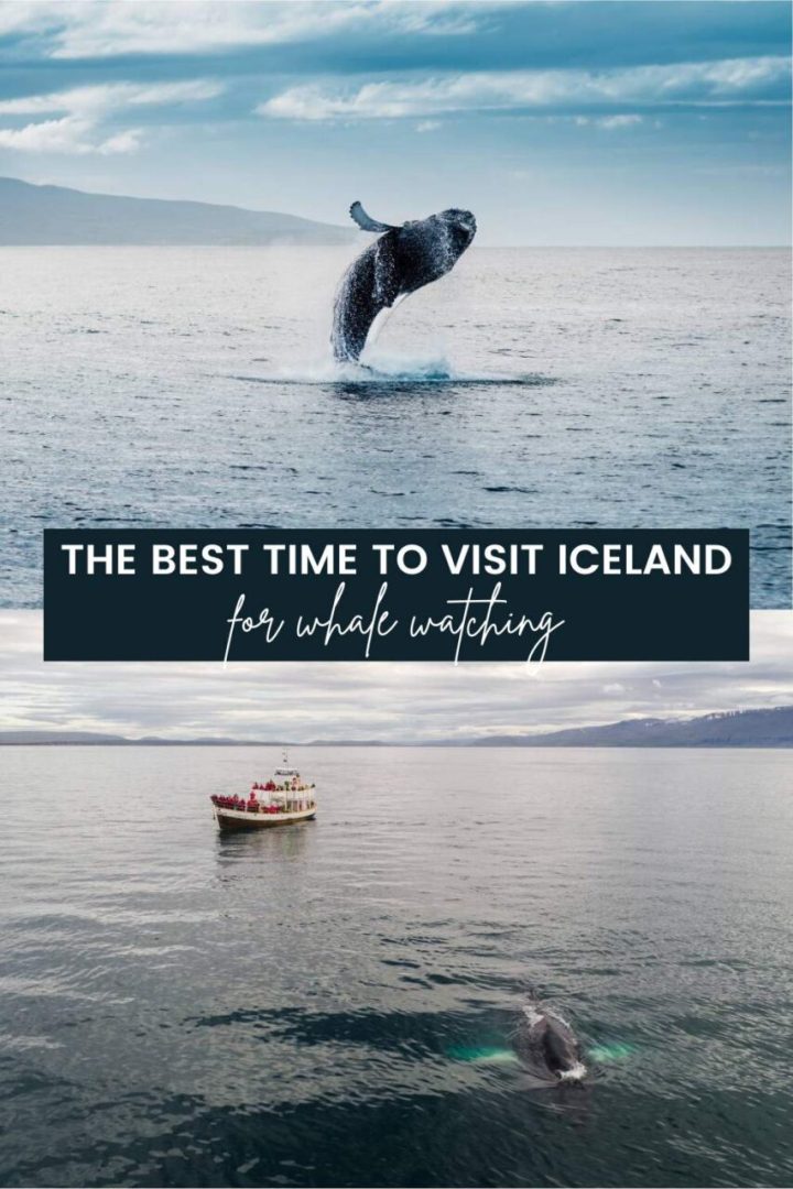 discover the best times to visit iceland for stunning landscapes, northern lights, and unforgettable adventures. find out when to go for the perfect weather, fewer crowds, and the top seasonal activities.