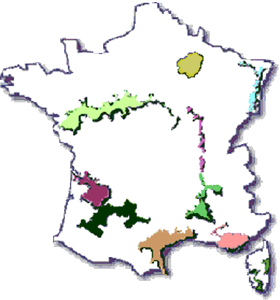 discover the most famous french wine regions, explore their unique characteristics, grape varieties, and the wines they produce. perfect guide for wine lovers and enthusiasts.