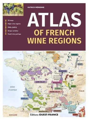 discover the diverse french wine regions, from bordeaux to burgundy. explore unique terroirs, famous appellations, and learn what makes french wines world-renowned.