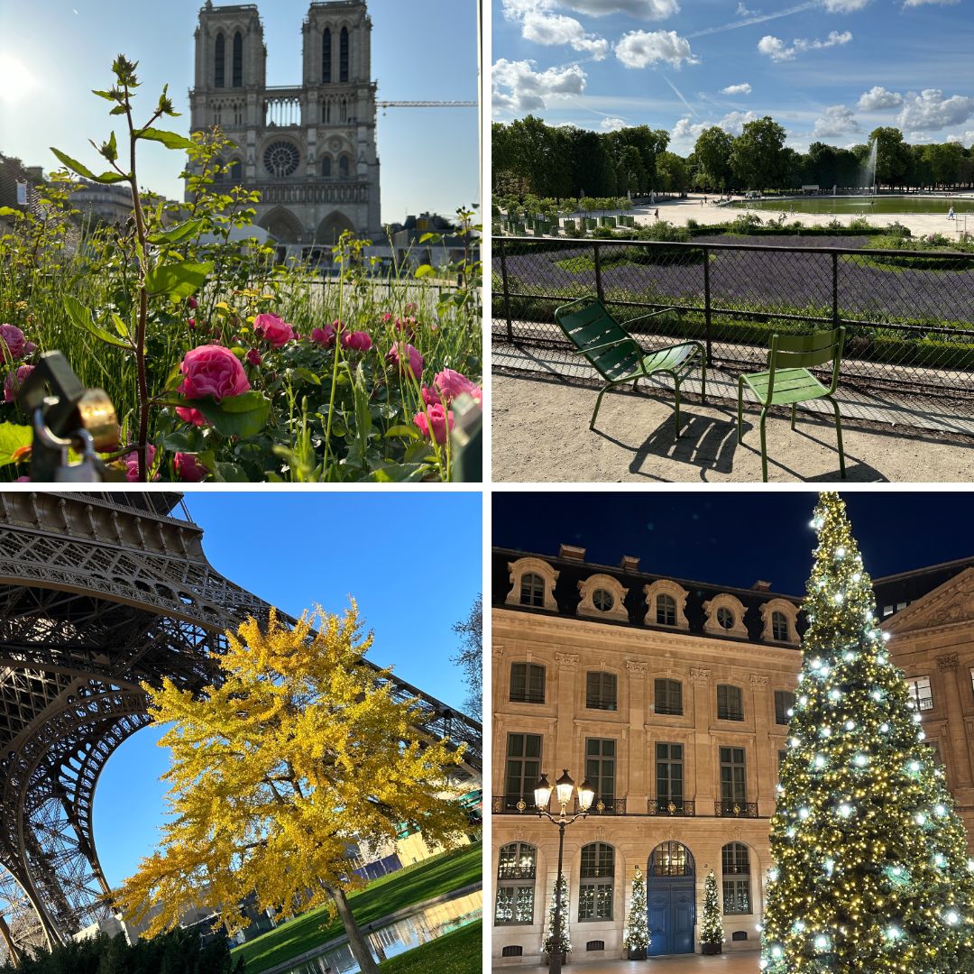 discover essential paris travel tips for an unforgettable trip! find advice on must-see attractions, local etiquette, transportation, food, and how to make the most of your parisian adventure.