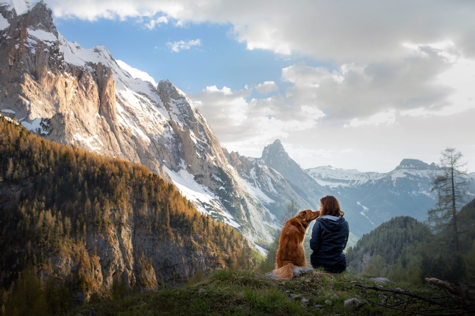 discover the best pet-friendly vacation spots for your next getaway! find destinations that welcome you and your furry friends, with accommodations and activities designed for pets and their owners.