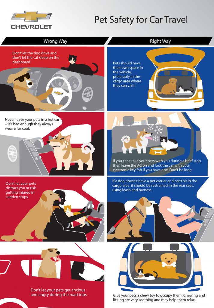 discover essential pet travel tips to ensure a safe, comfortable, and stress-free journey for your furry friend. learn how to prepare, pack, and travel smart with your pet.