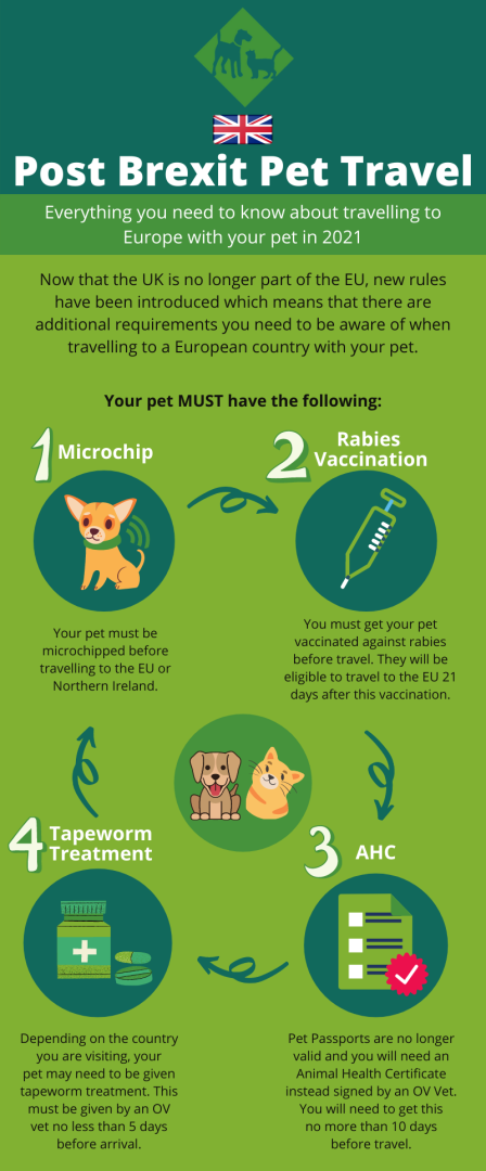 discover essential pet travel tips to ensure a safe, comfortable, and stress-free journey for you and your furry friend. learn how to prepare, what to pack, and important safety advice.