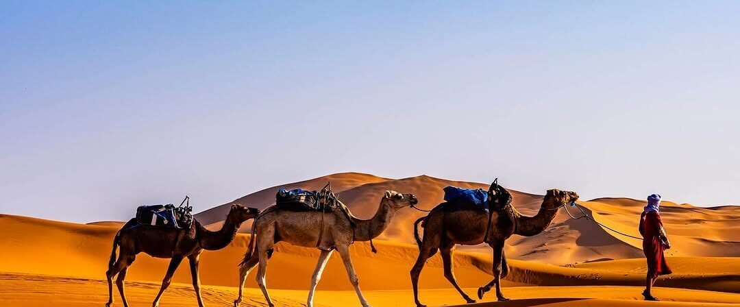 discover essential tips and expert advice for planning a stress-free morocco trip. enjoy a seamless travel experience with our comprehensive guide to exploring morocco with ease.