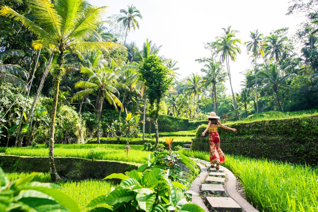 discover sustainable travel in bali with eco-friendly tips, ethical accommodations, and responsible tourism activities to help preserve the island’s natural beauty and culture.