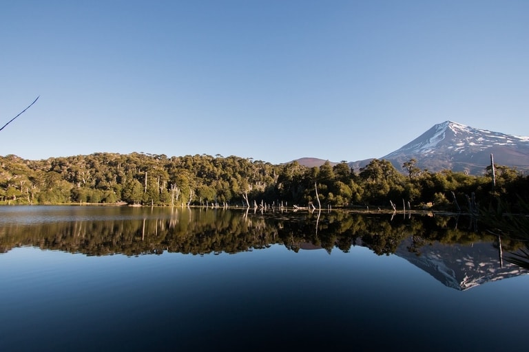 discover the best hiking trails in south america, from the andes to the amazon. explore breathtaking routes for every skill level, including famous treks and hidden gems.