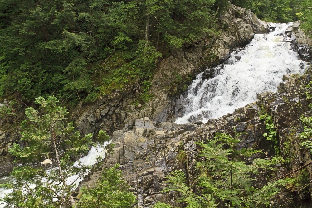 discover the best nature trails in the us! explore scenic paths, hiking tips, and must-see destinations for outdoor enthusiasts and adventure seekers.