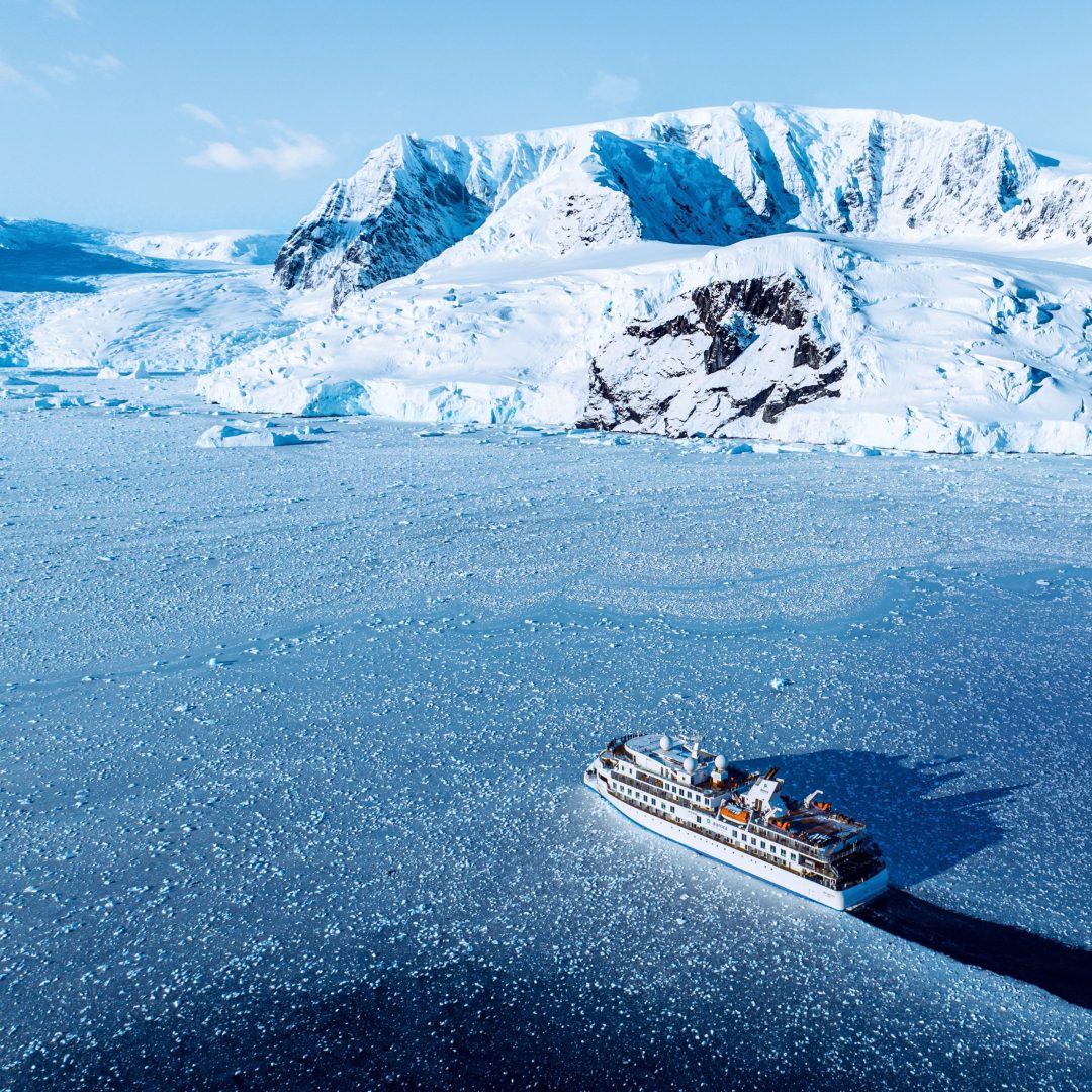 discover the best wildlife cruises to witness stunning animals in their natural habitats. explore top-rated destinations and unforgettable nature experiences on water.