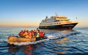 discover the best wildlife cruises around the world. explore top destinations and experience close encounters with incredible animals in their natural habitats.