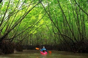 discover the top activities in krabi, from island hopping and snorkeling to exploring stunning limestone cliffs and vibrant local markets. perfect guide for unforgettable adventures in krabi.